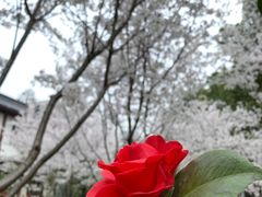 -堤角公园