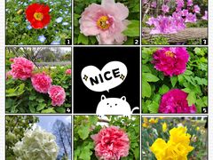 -上海滨江森林公园