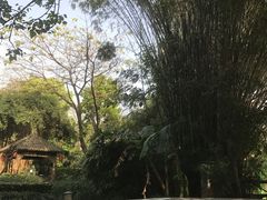 -天赐温泉