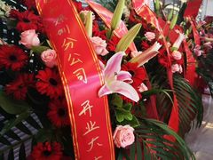-美斯烘焙培训学院•蛋糕•面包•咖啡(宝安校区)