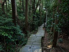 -水濂山森林公园