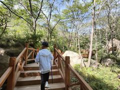 -大岭沟猕猴桃谷风景区