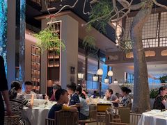 -桂满陇·海市蜃楼·黑金(国金店)