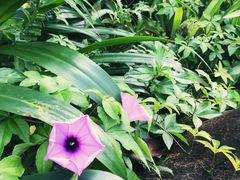 -白沙门生态公园