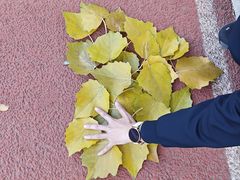 -gaga(北京新中关购物中心店)