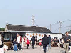 -苏州市吴中区光福窑上花果蜜饯厂