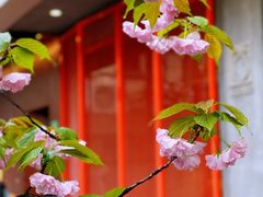 -WABI COFE(愚园路店)