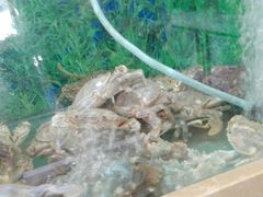 -良师门滨海人家·海鲜·家常菜(滨海城店)