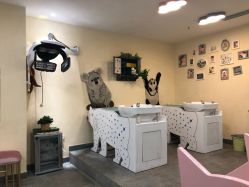 -马克叔叔儿童理发形象设计