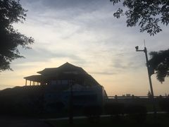 -大湾区中央湿地公园