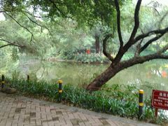 -人民公园(罗湖区)