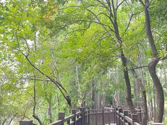 -东湖落雁景区