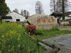 -同里国家湿地公园