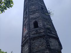 -上海佘山国家森林公园天马山园