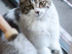 -五月木作·DIY木作文创体验店(北京路店)