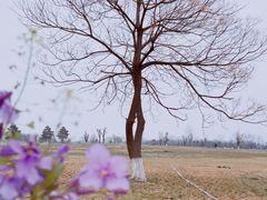 -汉长安城未央宫国家考古遗址公园