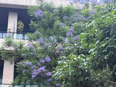 -张坝桂圆林公园