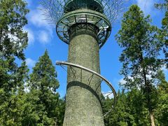 -黄海国家森林公园