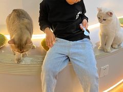 -COLOR PETS 撸猫馆·购猫·猫咖(长风大悦城店)