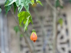 -荣家小吃(紫阳街店)