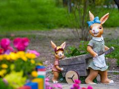 -国家植物园南园