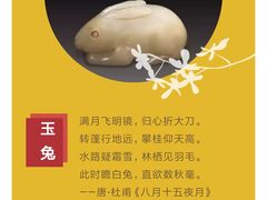 -海河游船-永乐码头(大悲院)