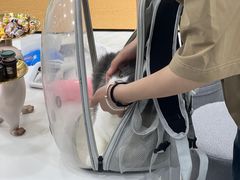 -爱洗澡的猫(天河路店)
