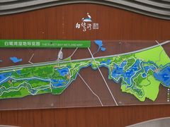 -白鹭湾湿地公园