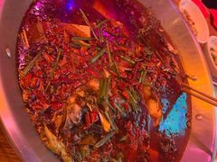 鱼火锅-红牌美蛙鱼头火锅(万辉国际广场店)