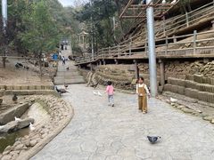 -栾川竹海野生动物园