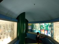 -上海昆虫博物馆