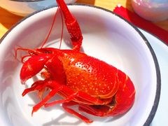 -蚝翅·海鲜粥·烧烤·宁夏滩羊季(玉米楼店)