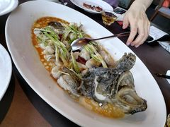 清蒸老虎斑-三利音·东方司宴(外滩店)