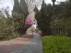 -禹州森林植物园