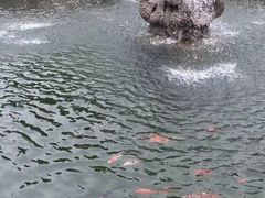 -关中书院