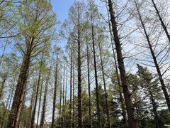 -国家植物园南园