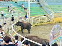 -大连森林动物园