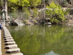-灵溪风景区