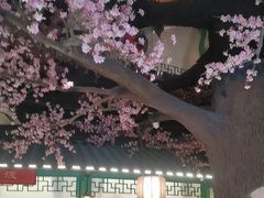 -荷塘秋月·本帮江浙菜(国权路店)