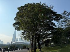 -大梅沙海滨公园