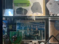 -志强陨石馆(双季花艺店)