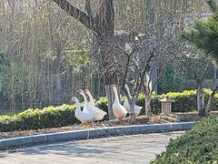 -西安世博园