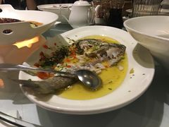-沪碟·精菜坊(闵行店)