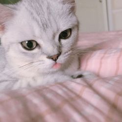 -哈妮儿童摄影(德清店)