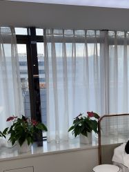 -悟空祛痘·诺奖技术专业店