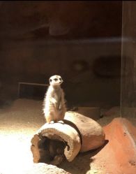 -酷嗒动物文化乐园(cutezoo西溪乐天城店)