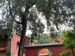 -泰山风景名胜区-普照寺