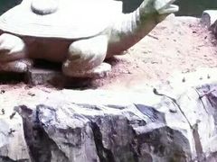 -白云山索道-售票处