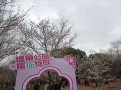 -堤角公园