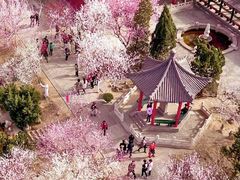 -桃花堤公园